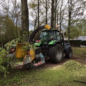 Travaux de déboisement par Xavier Derycke - Cimea