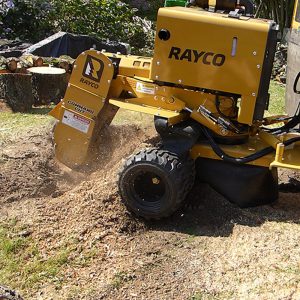 Machine de dessouchage Rayco - Xavier Derycke - Abattage, démontage et élagage à Silly