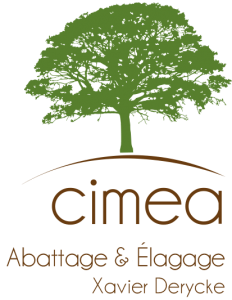 Cimea Abattage et élagage par Xavier Derycke