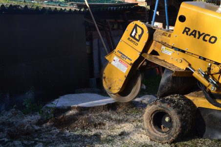 Dessouchage machine Rayco