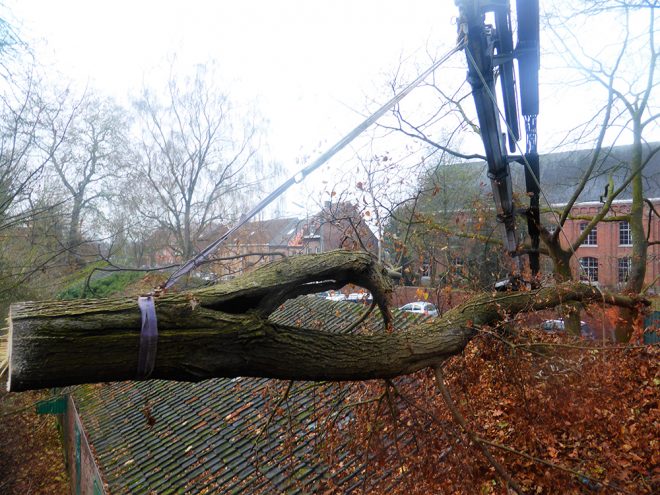 Travaux de démontage d'arbre